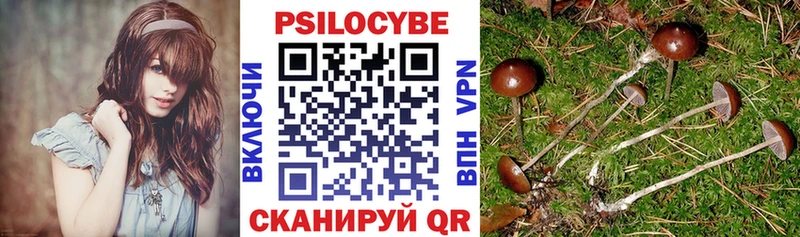купить наркоту  Верхоянск  Галлюциногенные грибы ЛСД 